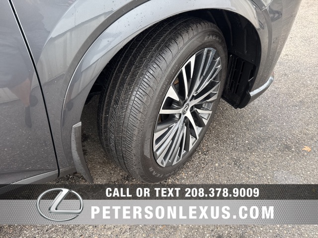 2024 Lexus RX 350h Premium photo 10