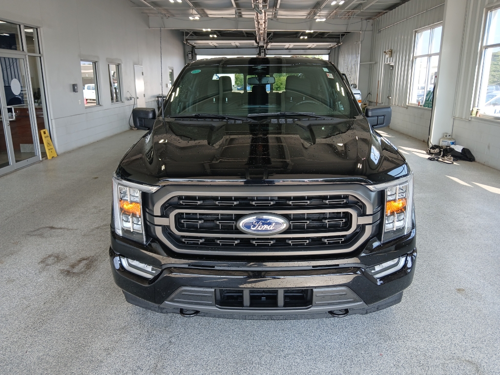 2023 Ford F-150 XLT photo 3