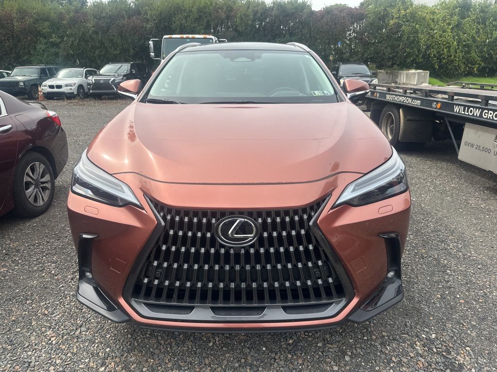 2025 Lexus NX 350h Luxury photo 2