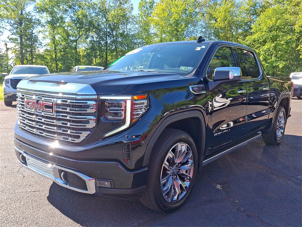 2025 Gmc Sierra 1500 Denali photo 2