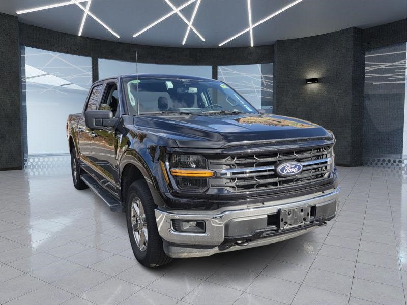 2024 Ford F-150 XLT's photo