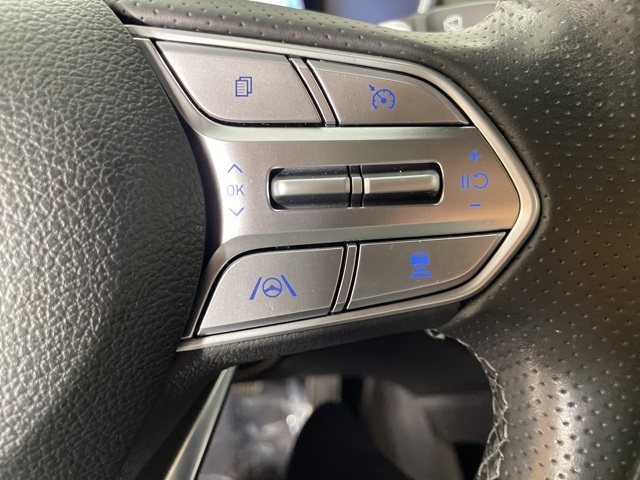 2023 Hyundai Santa Fe Calligraphy photo 25