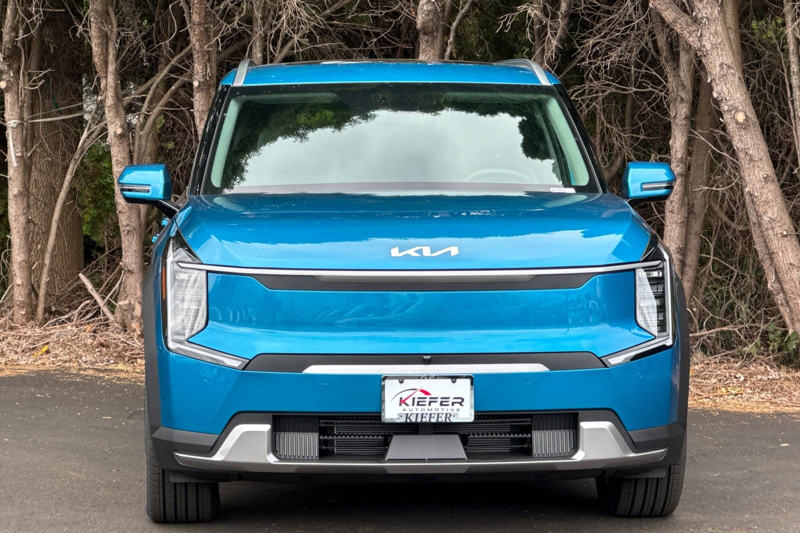 2026 Kia EV9 Wind AWD photo 4