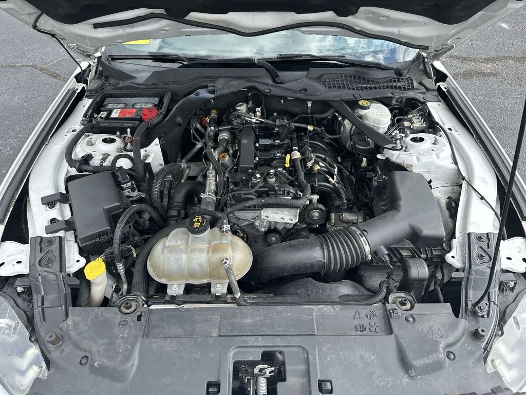View 24