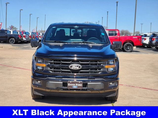 2025 Ford F-150 XLT photo 3