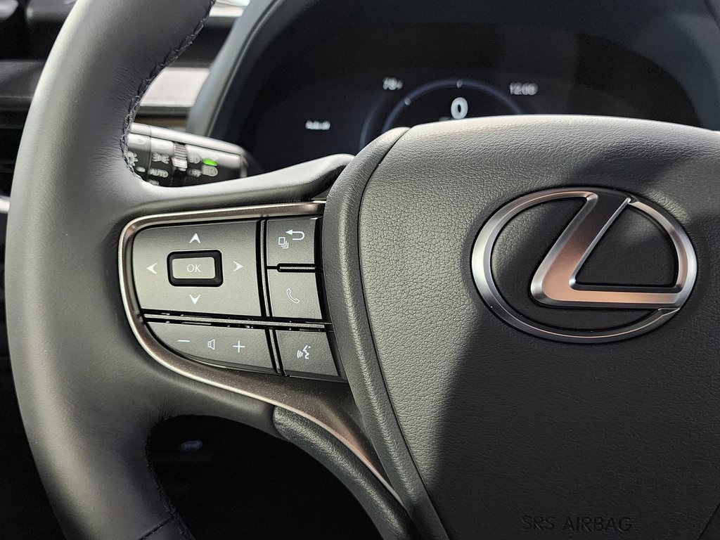 2025 Lexus UX photo 16