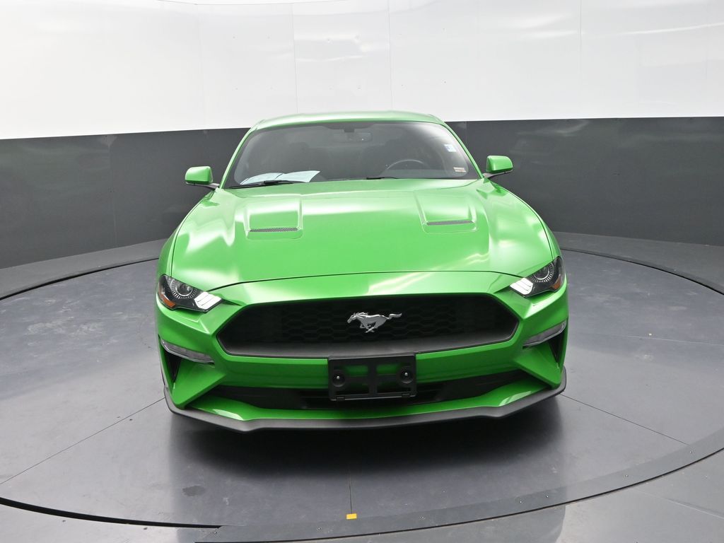 2019 Ford Mustang EcoBoost photo 2