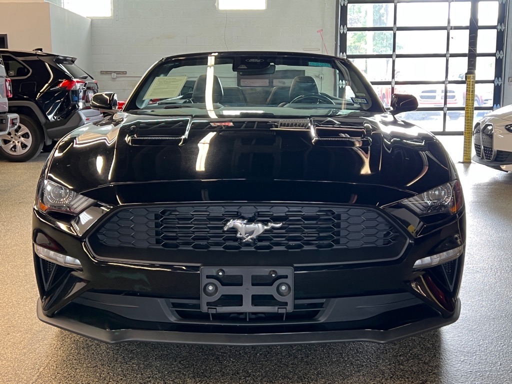 2023 Ford Mustang EcoBoost Premium photo 2