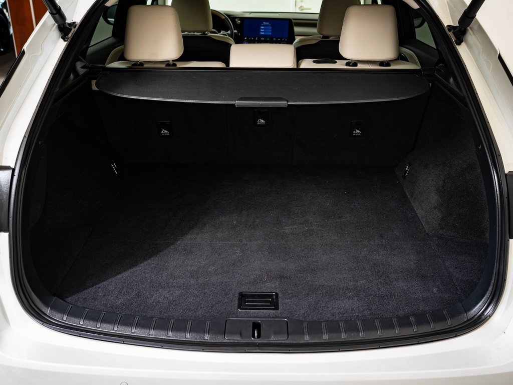 2023 Lexus RX 350 Premium photo 16