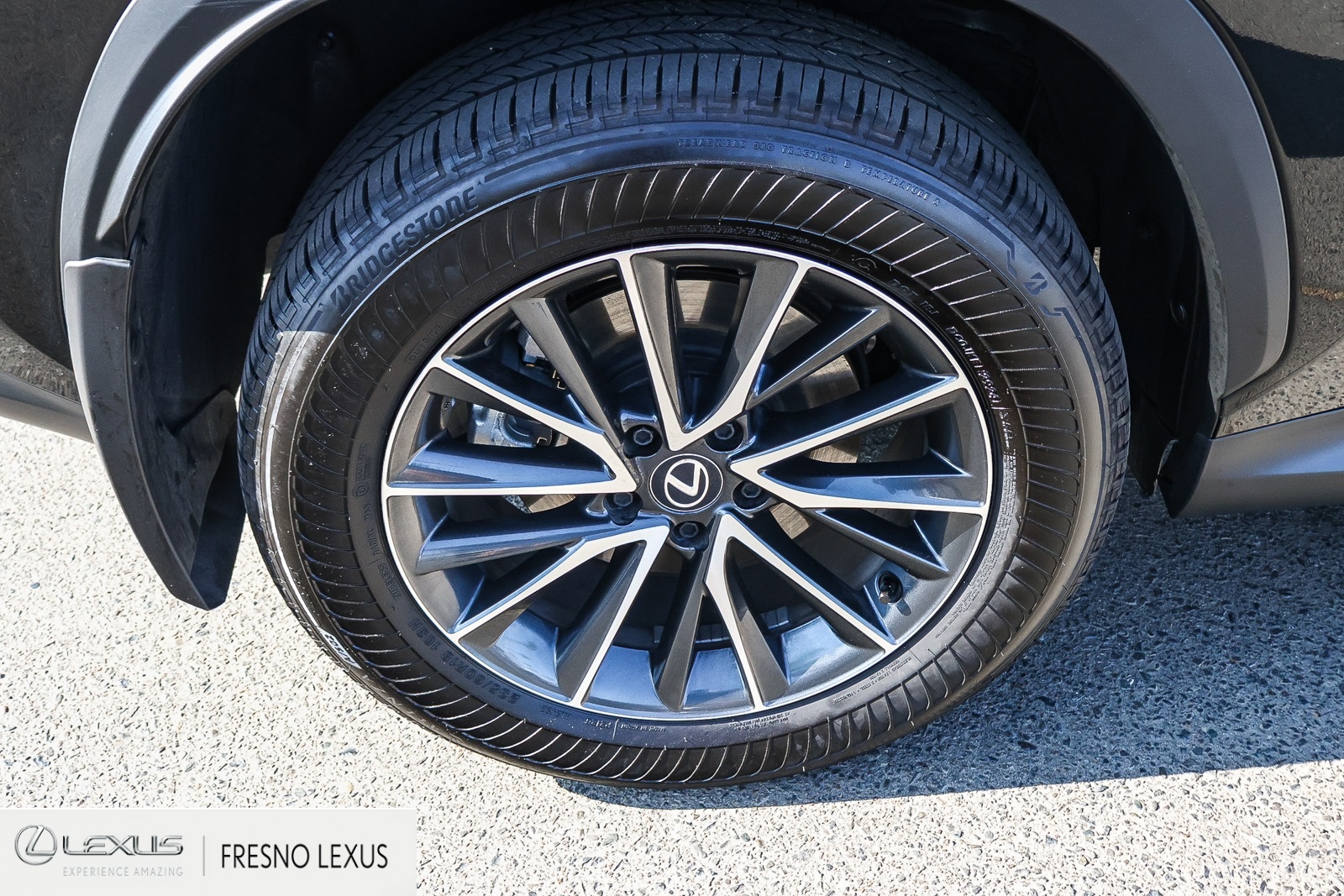 2025 Lexus NX 350h Premium photo 7