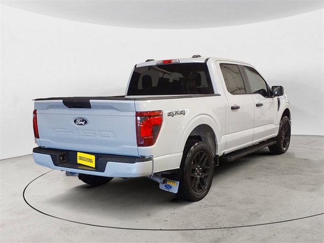 2025 Ford F-150 STX photo 5