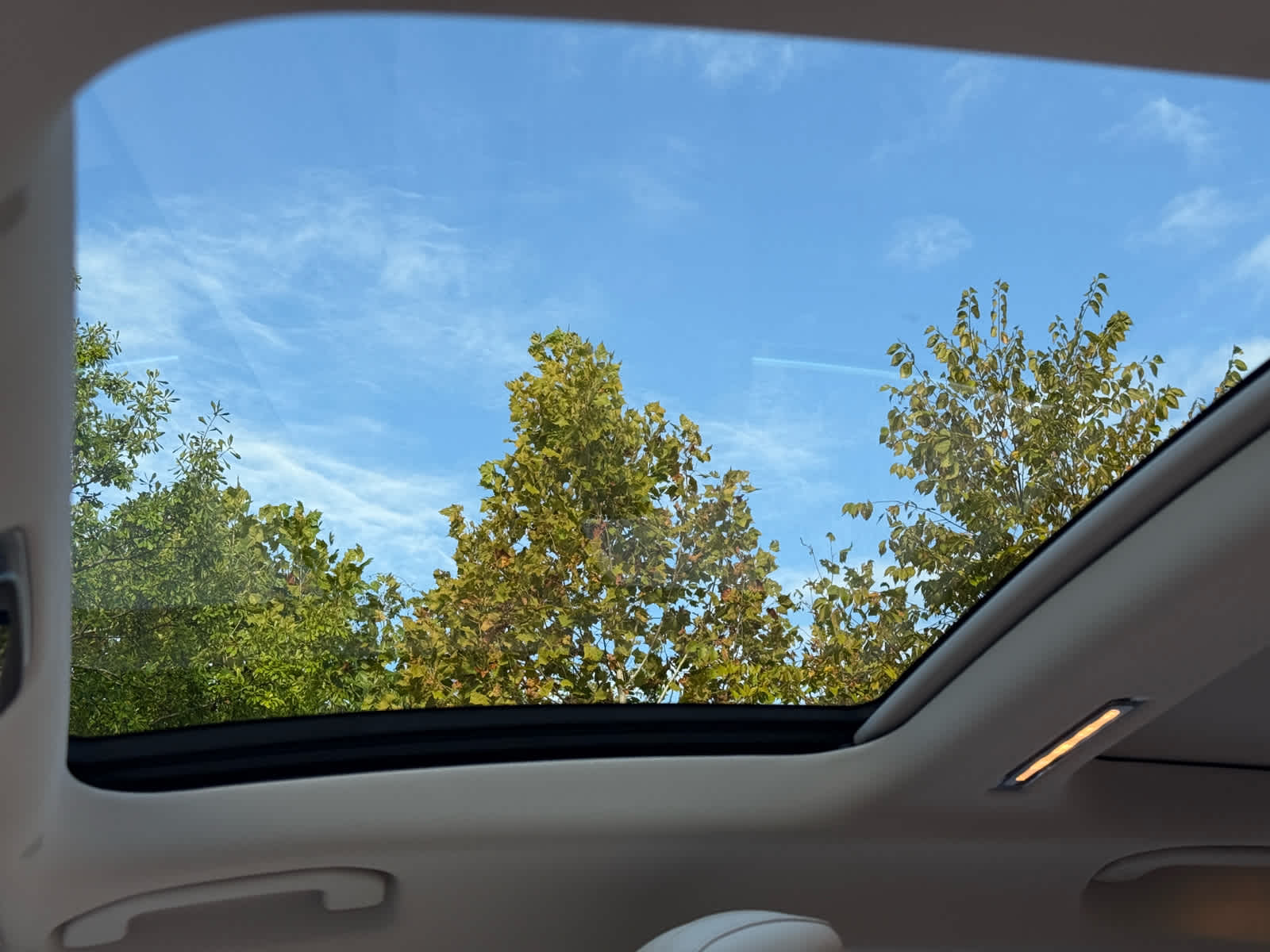View 29