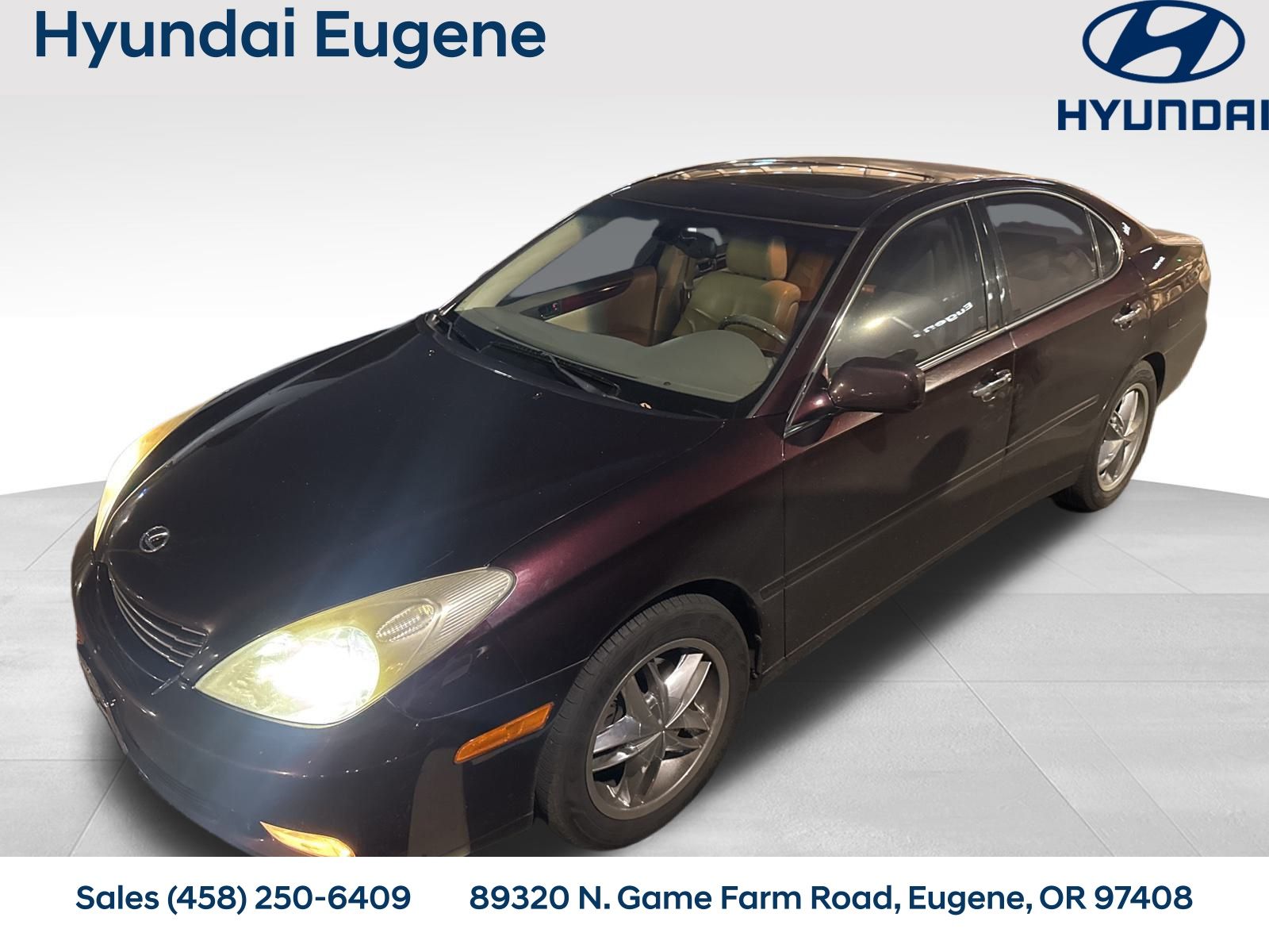 2002 Lexus ES 300's photo