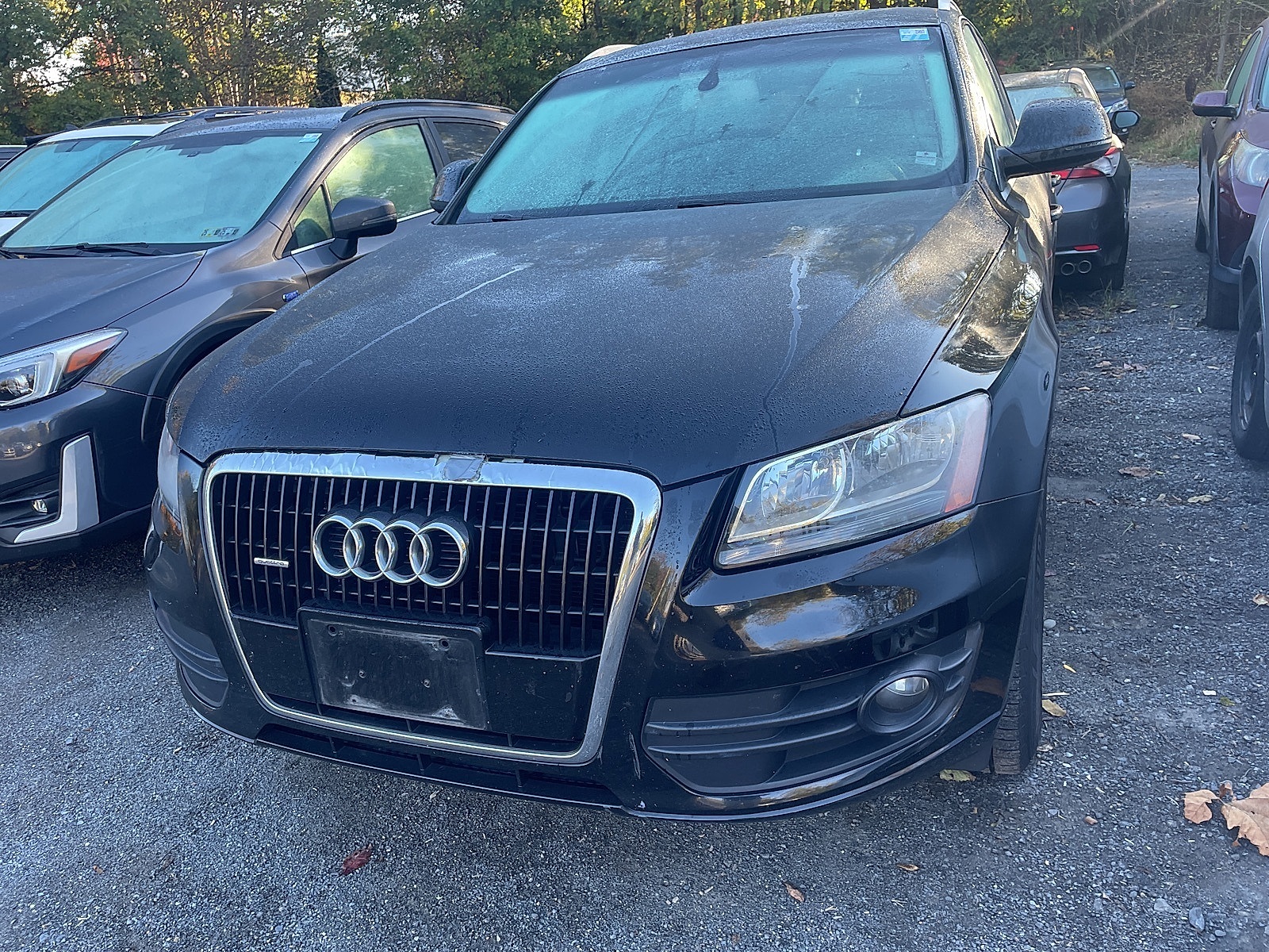 2010 Audi Q5
