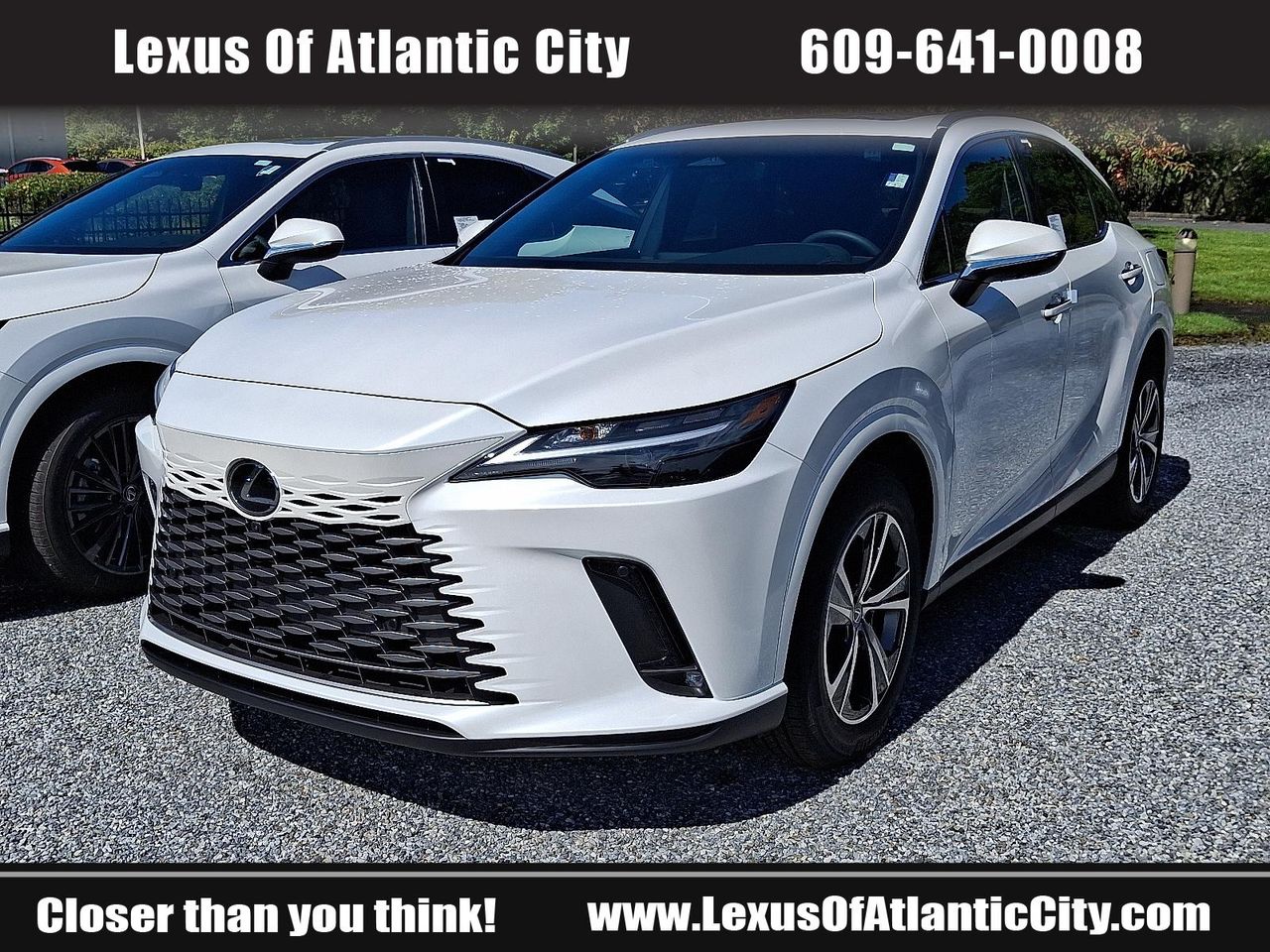2025 Lexus RX 350 photo 3