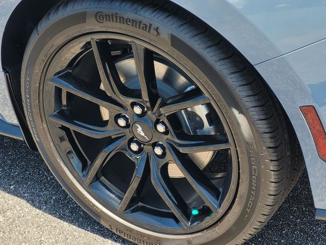 2025 Ford Mustang EcoBoost photo 6