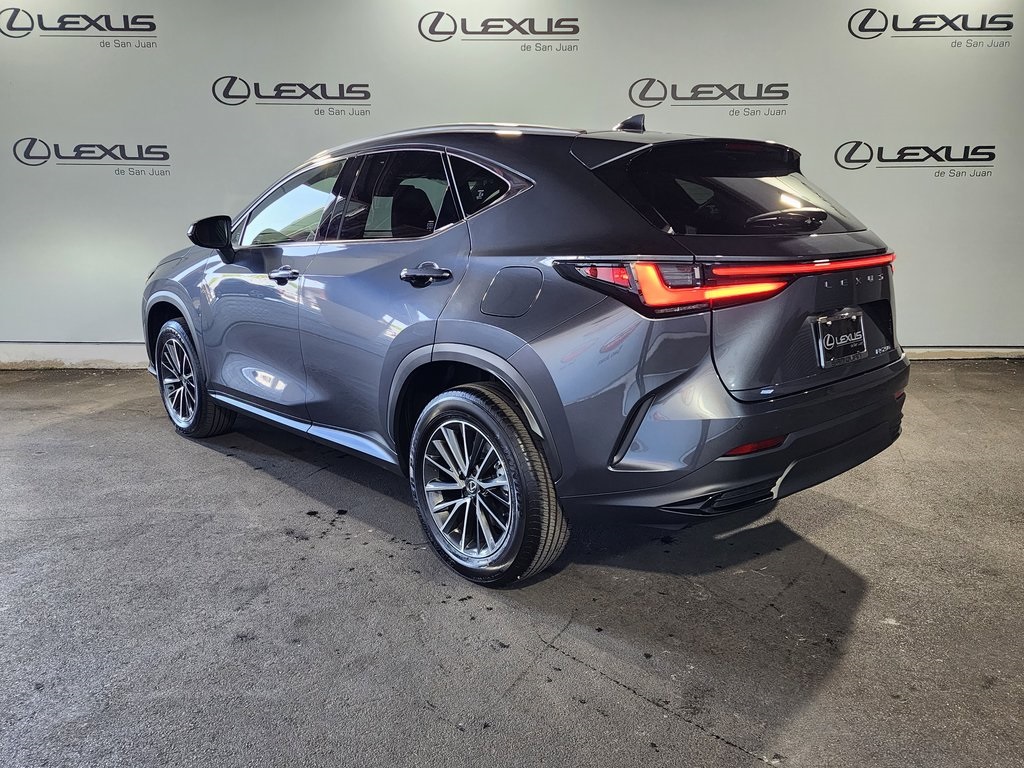 2025 Lexus NX 250 photo 6
