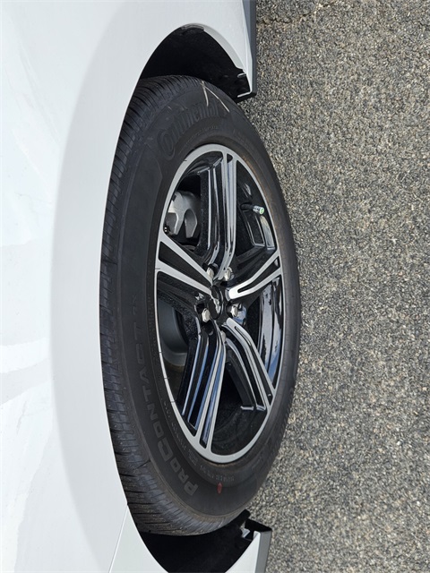 2025 Ford Mustang EcoBoost photo 10