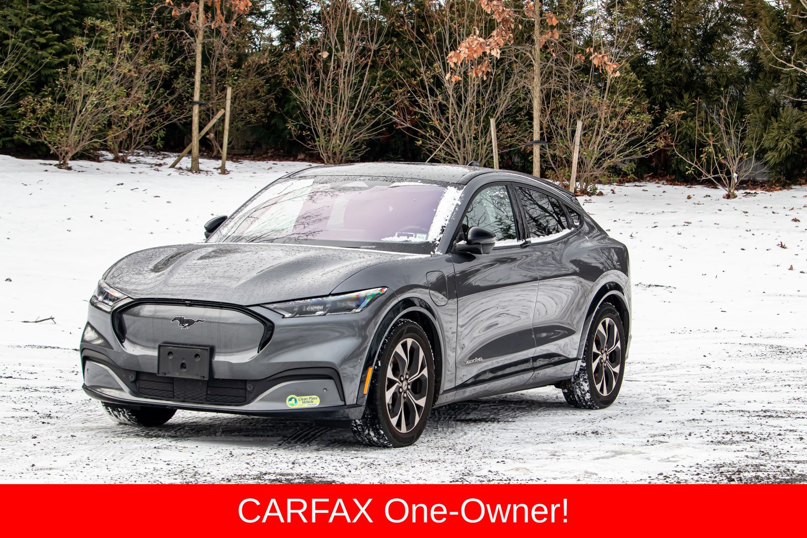 2021 Ford Mustang Mach-E Premium AWD's photo