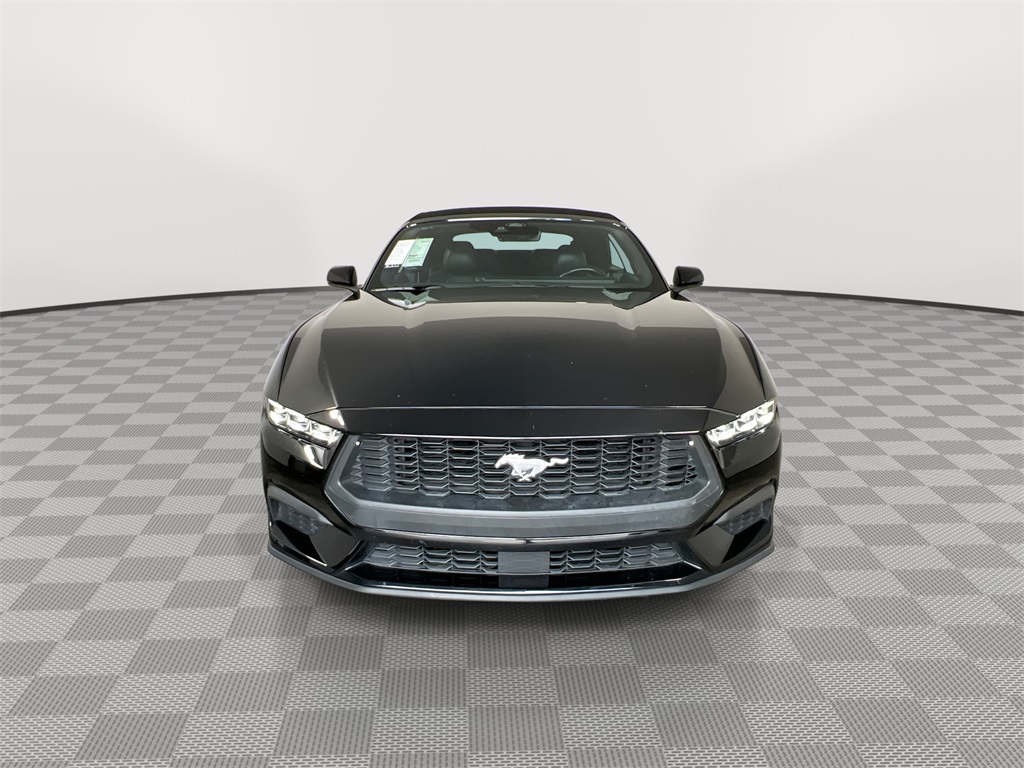 2024 Ford Mustang EcoBoost Premium photo 3