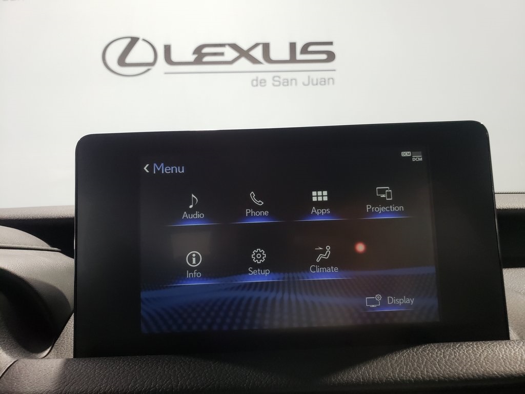 2025 Lexus IS 300 F SPORT photo 19