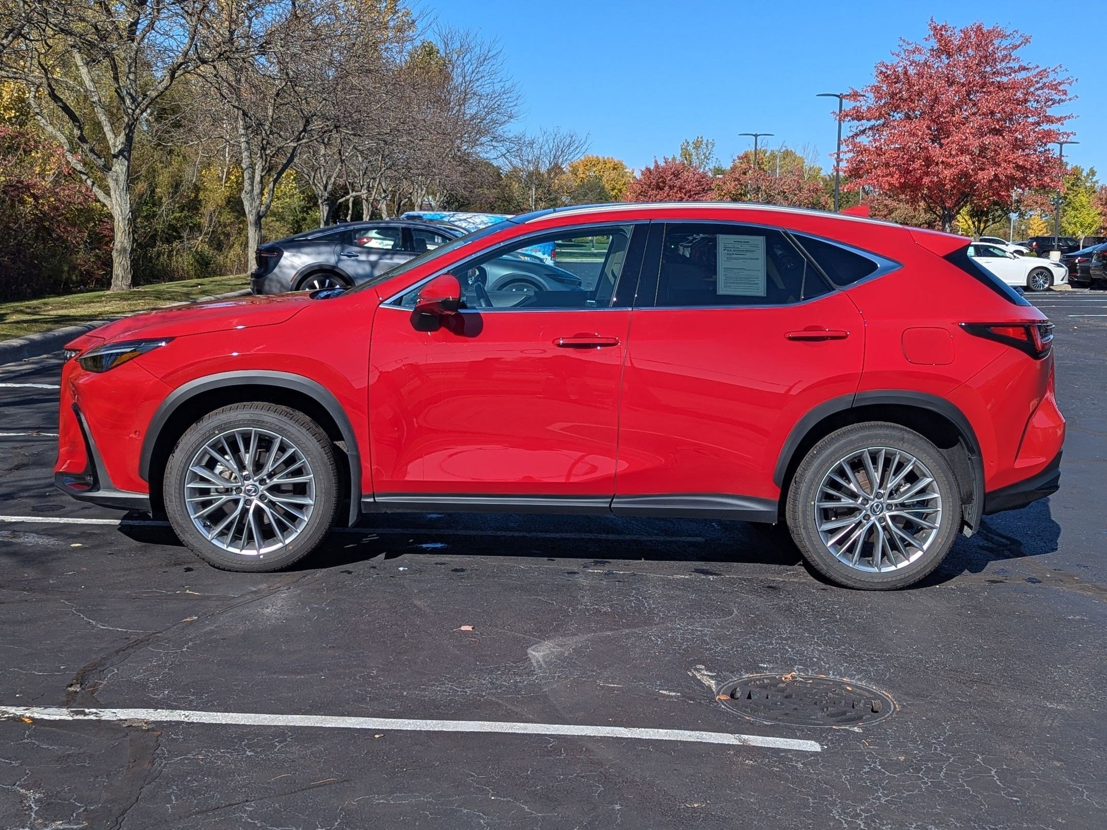 2025 Lexus NX 350 Luxury photo 2