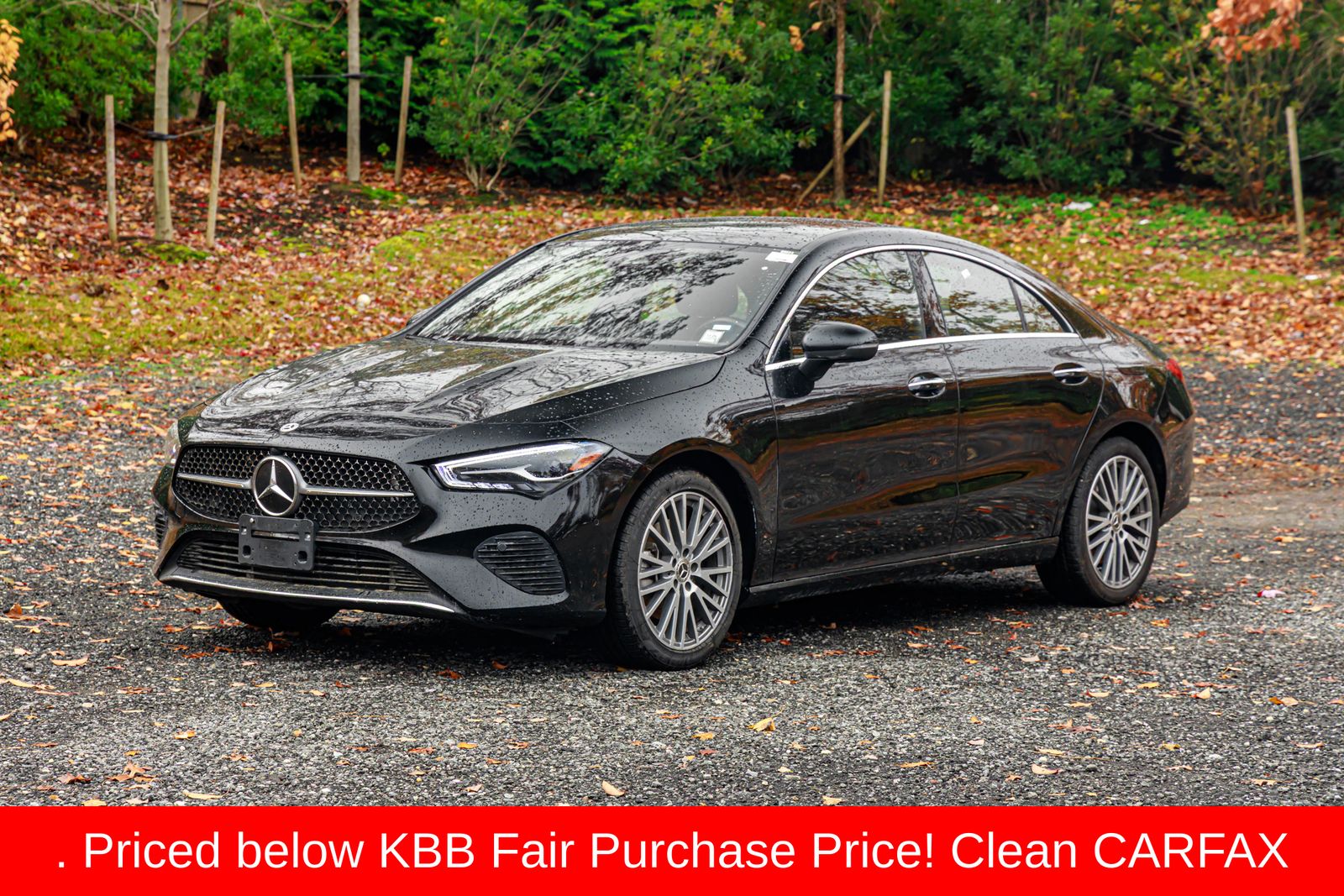 2025 Mercedes-Benz CLA CLA 250's photo