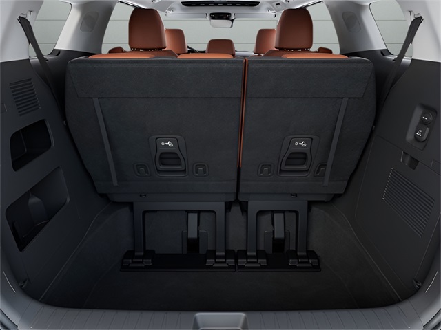 2026 Kia Carnival SX Prestige photo 6