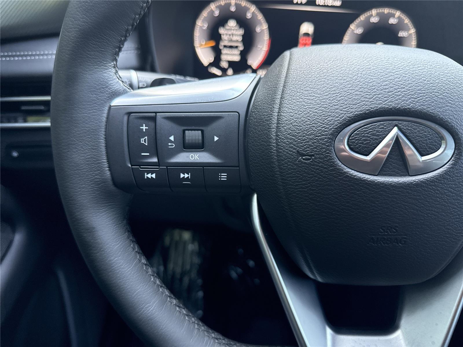 2022 Infiniti QX60 Luxe photo 13