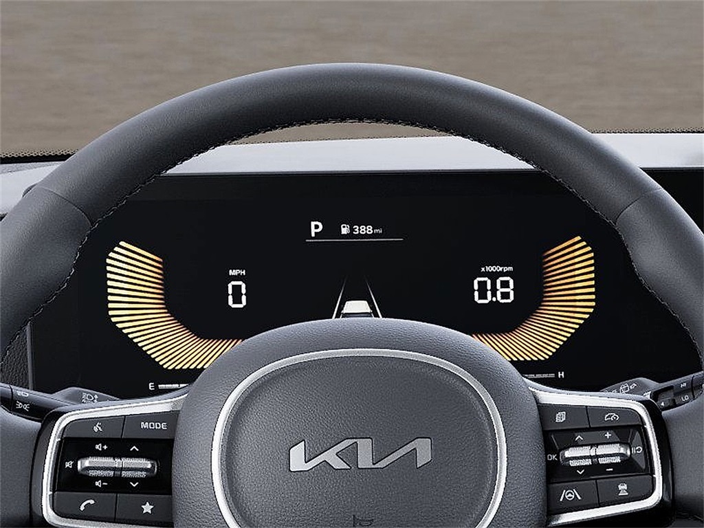 2026 Kia Carnival EX photo 20