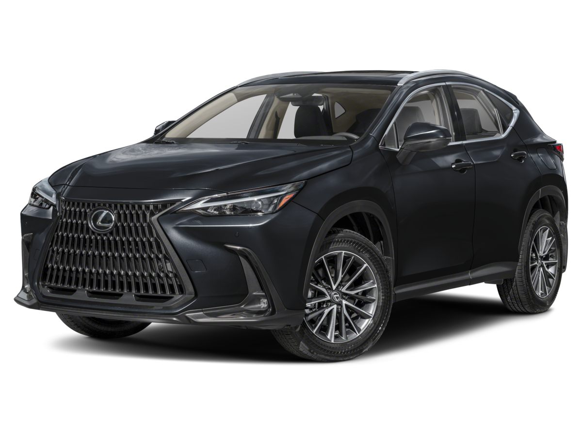2024 Lexus NX 350's photo