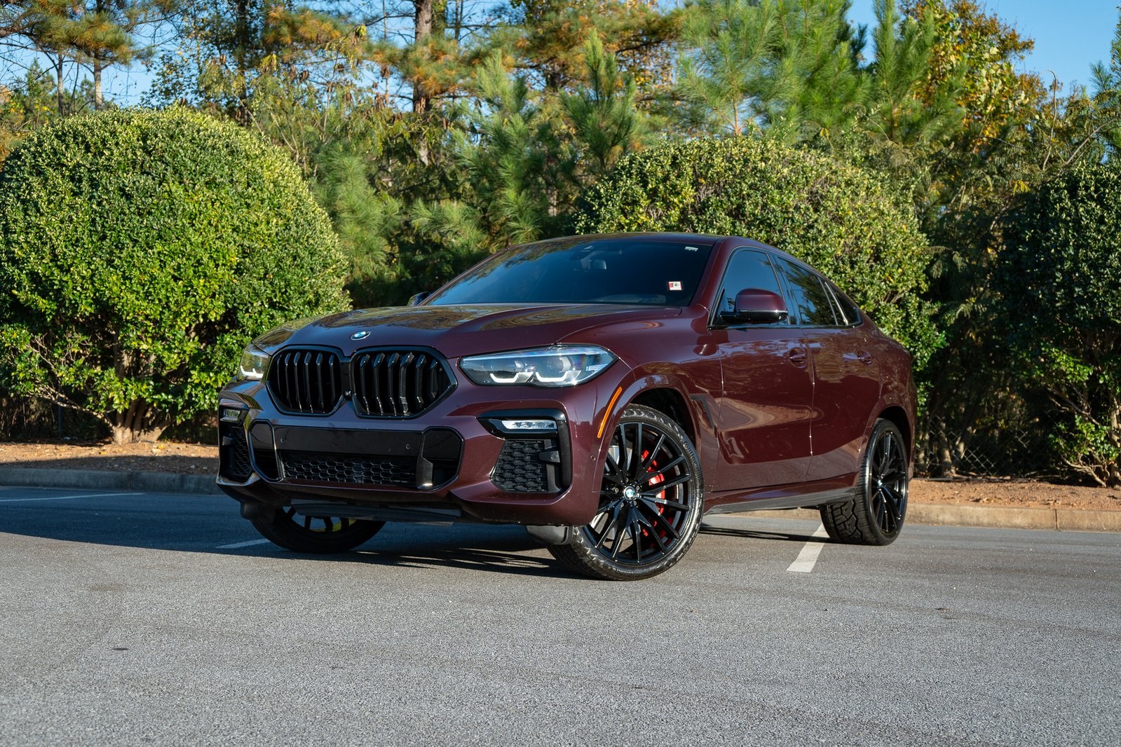 2021 BMW X6 M50i's photo