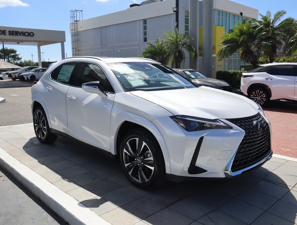 2025 Lexus UX photo 3