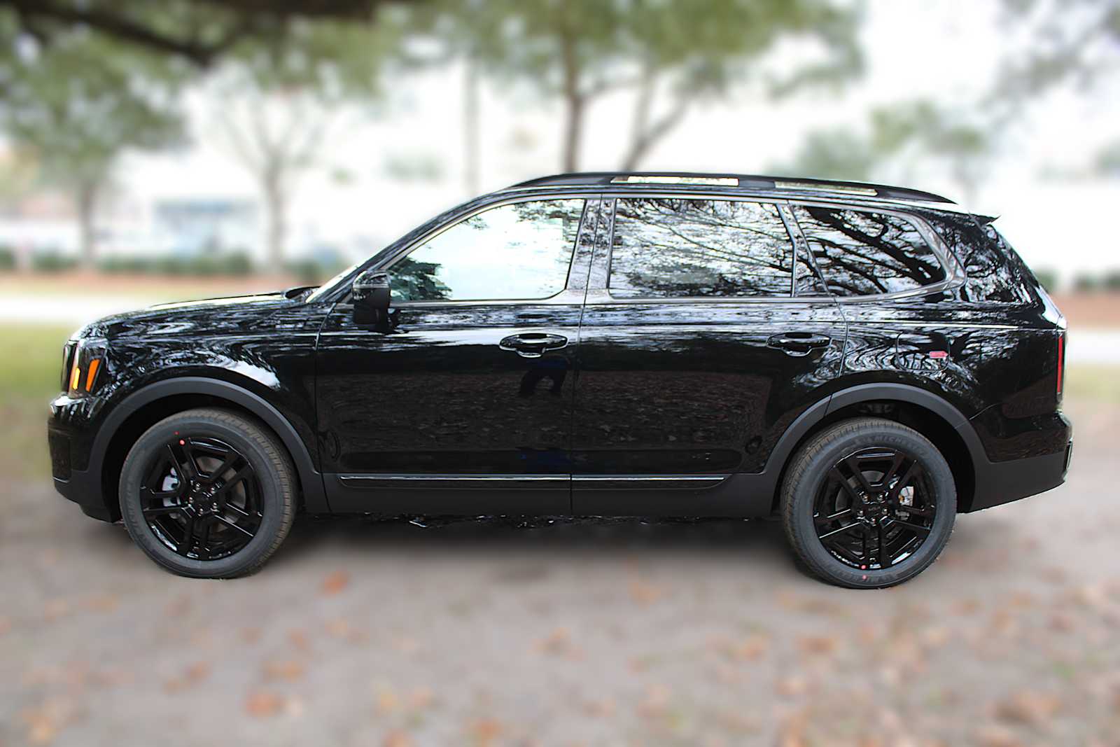 2025 Kia Telluride EX X-Line photo 14