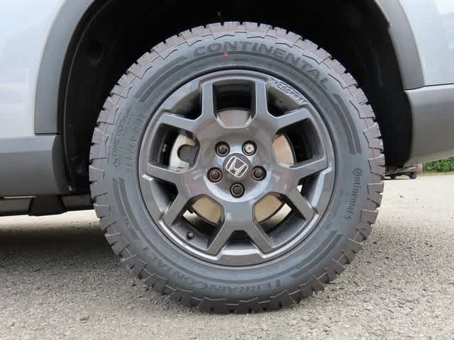 2025 Honda Pilot TrailSport photo 4
