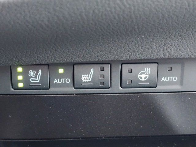 2023 Lexus ES 250 photo 13