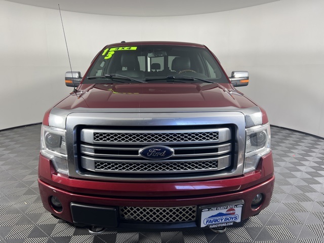 2013 Ford F-150 Platinum photo 2