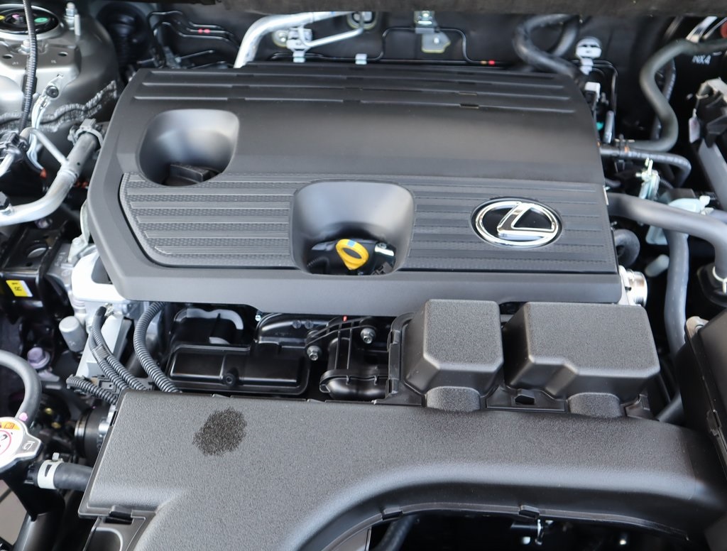 2025 Lexus NX 250 Premium photo 13
