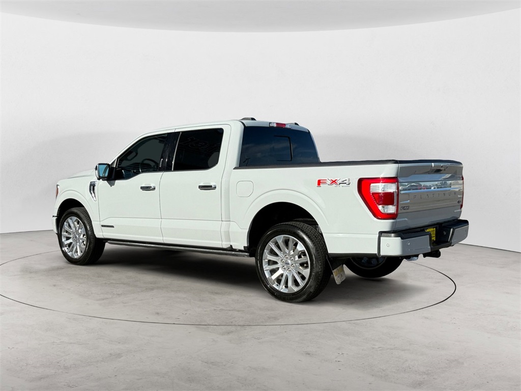 2023 Ford F-150 Platinum photo 3