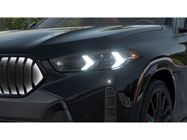 2026 Bmw X6 xDrive40i photo 4