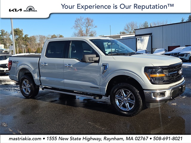 2024 Ford F-150 XLT's photo