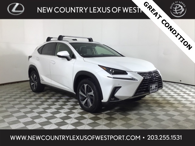 2018 Lexus NX 300h's photo