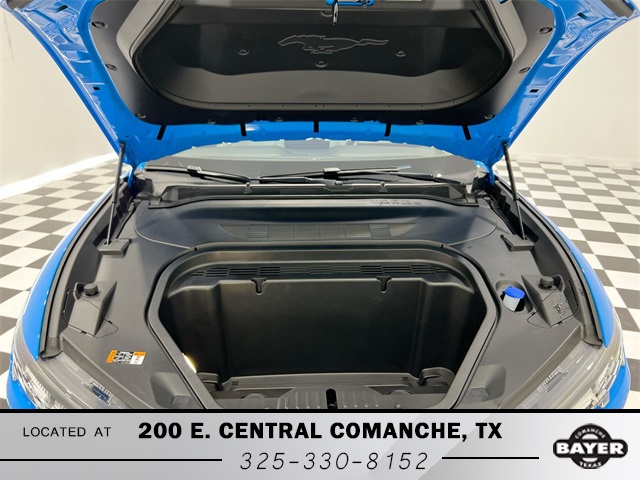 2023 Ford Mustang Mach-E Premium photo 16