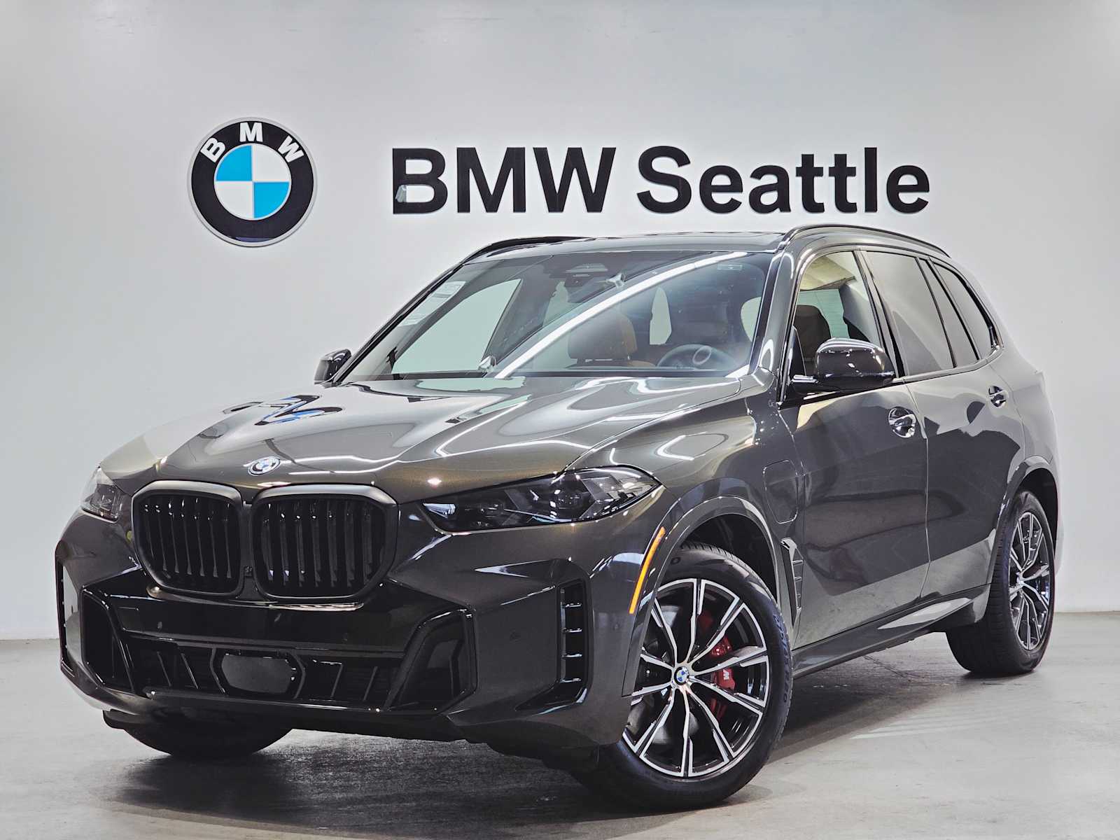 2026 BMW X5 50e's photo