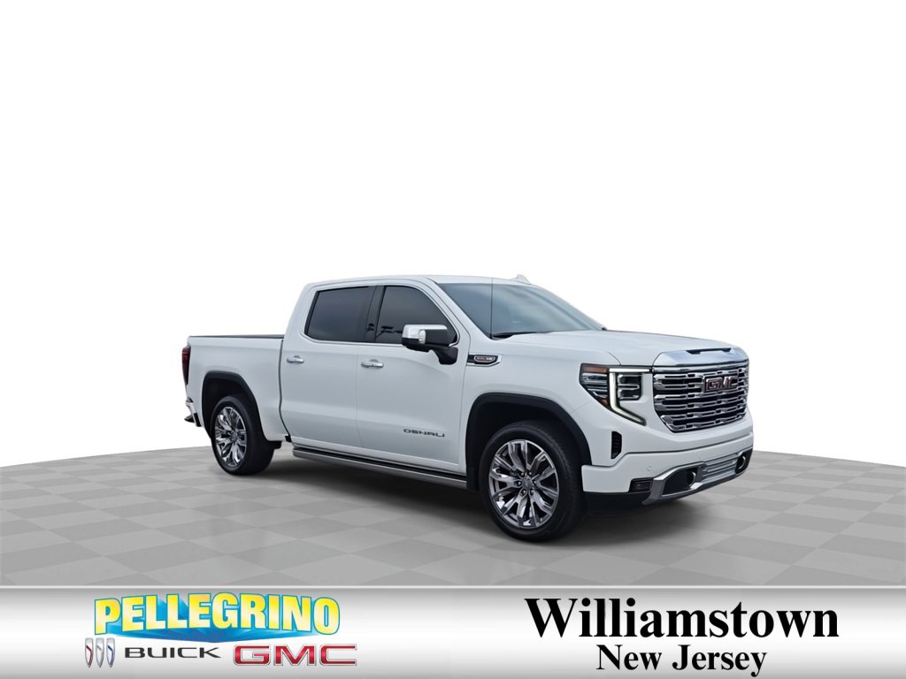 2023 Gmc Sierra 1500 Denali photo 2