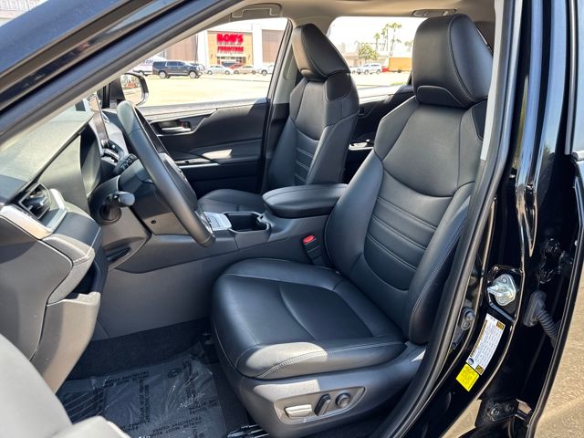 2023 Toyota RAV4 XLE Premium photo 3