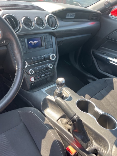 2021 Ford Mustang EcoBoost photo 10