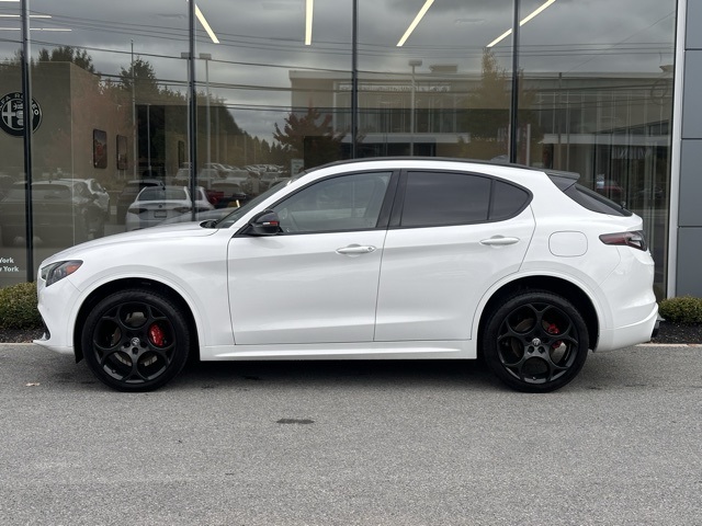 2025 Alfa Romeo Stelvio Tributo Italiano photo 3