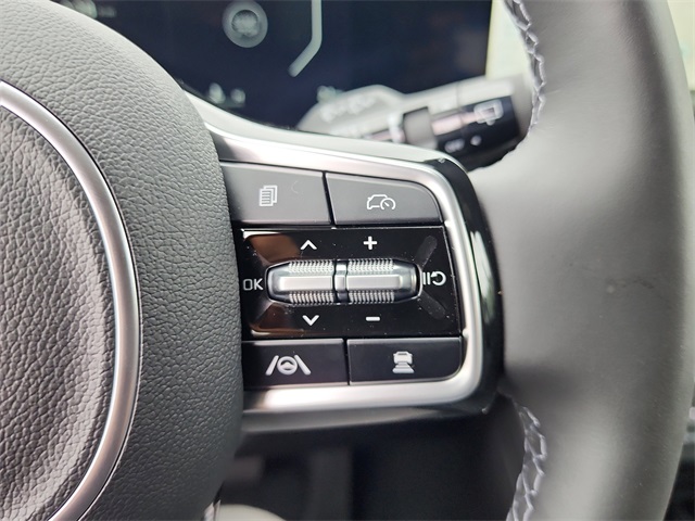 2026 Kia Carnival SX Prestige photo 21