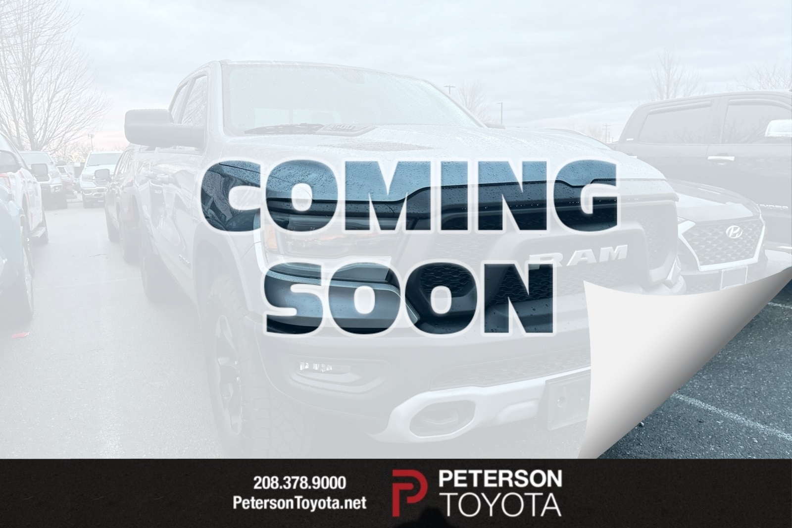 2019 RAM Ram 1500 Pickup Rebel